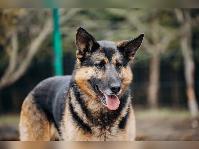 Schöne Sheila sucht traum zuhause