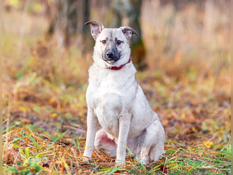 Iriska sucht liebe Menschen