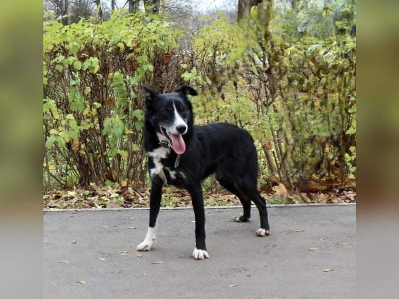 Mike sucht Traumzuhause