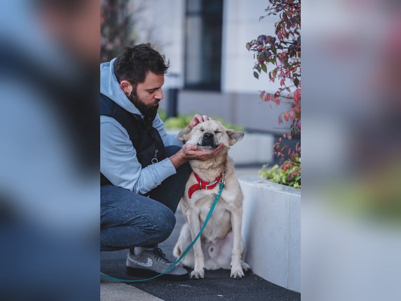 Skye treue seele sucht ....