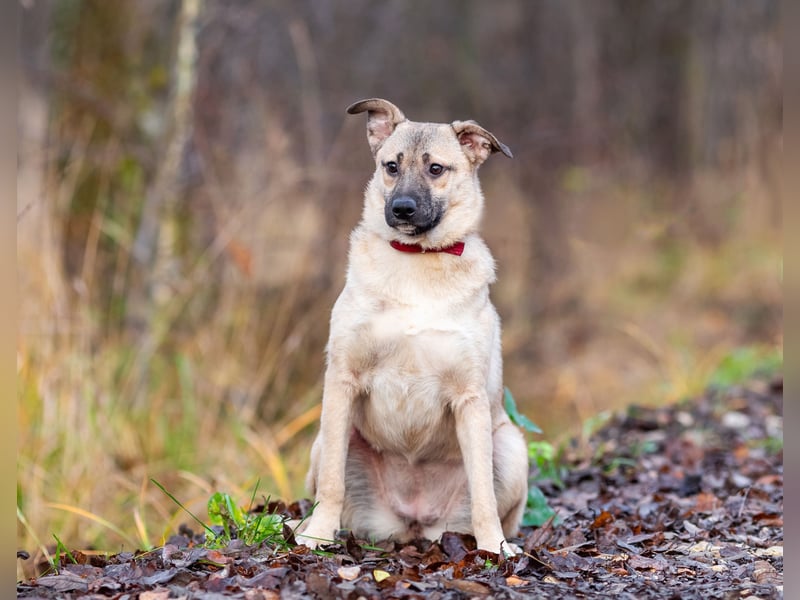 Iriska sucht liebe Menschen