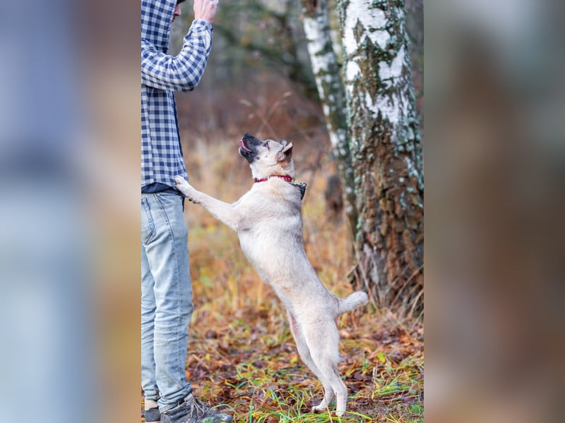 Iriska sucht liebe Menschen