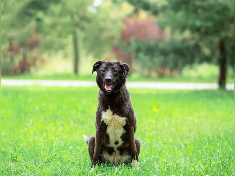 Betty will nur wärme und liebe...