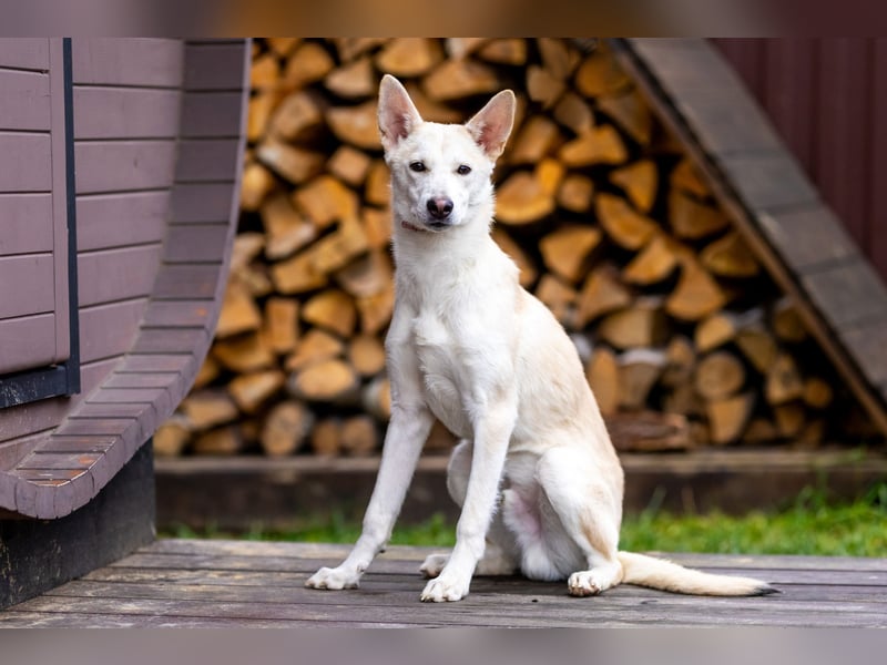 Wer nimmt Mickey in sein Leben..?!