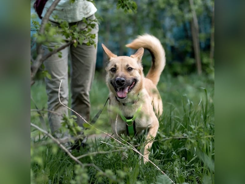 Archie möchte das Leben leben
