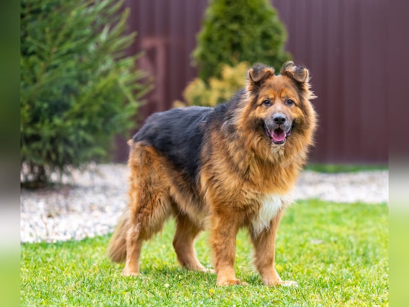 Bekommt Rakhat eine 2.Chance?!