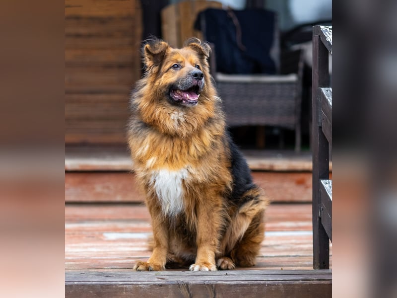 Bekommt Rakhat eine 2.Chance?!