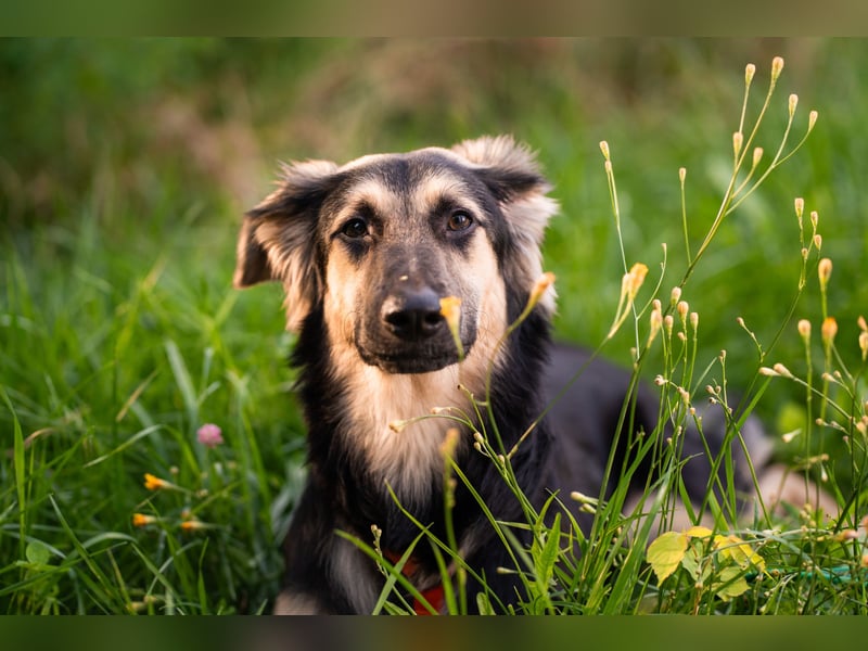 Der mutige Philip sucht seine Menschen