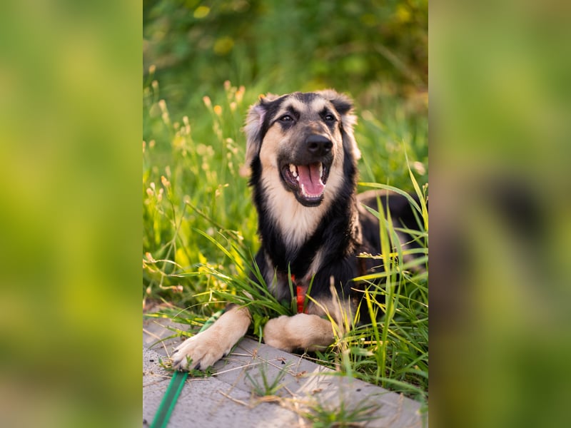 Der mutige Philip sucht seine Menschen