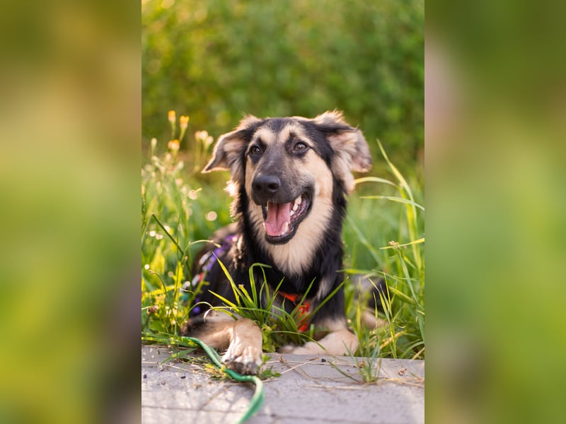 Der mutige Philip sucht seine Menschen