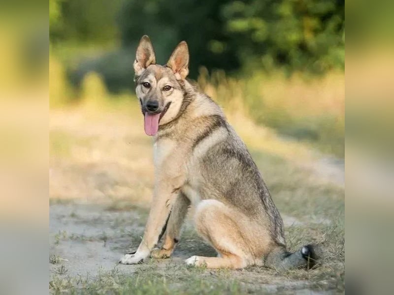 Aktive Bulochka sucht aktive Menschen
