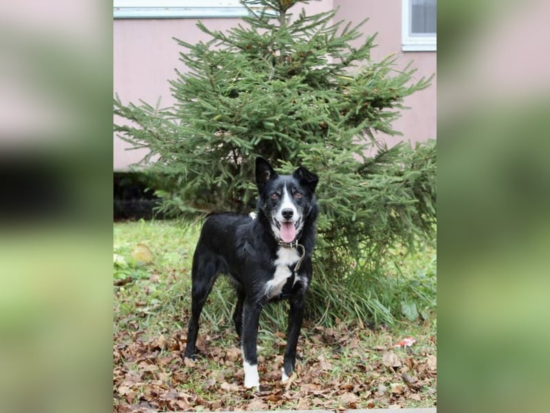 Mike sucht Traumzuhause