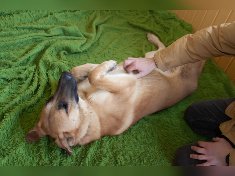 Junge hübsche Leia sucht Familie