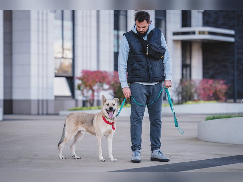 Skye treue seele sucht ....