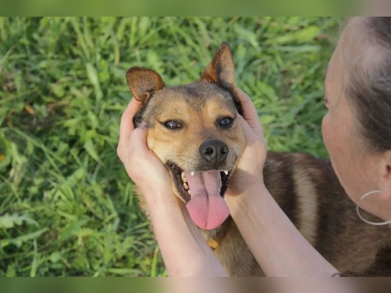 Jim sucht sein zu hause für immer