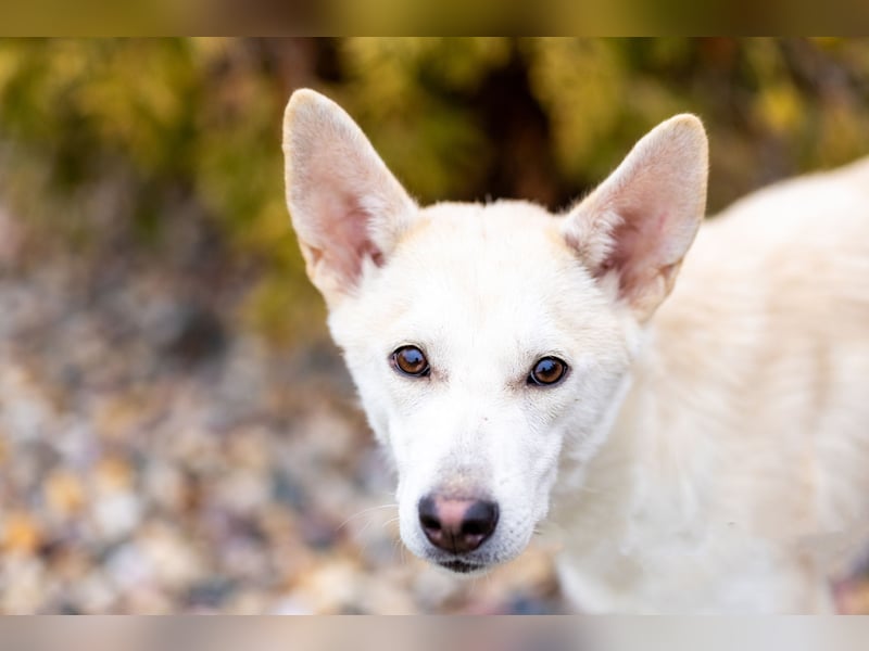 Wer nimmt Mickey in sein Leben..?!