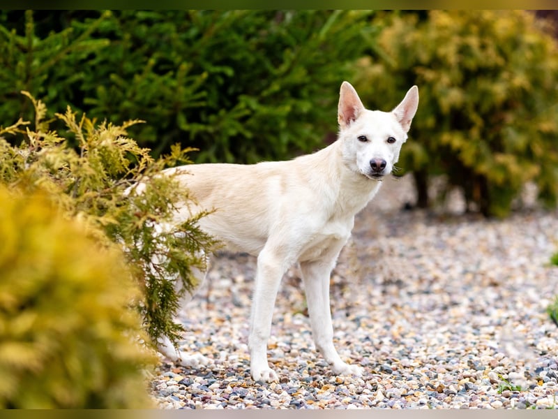 Wer nimmt Mickey in sein Leben..?!