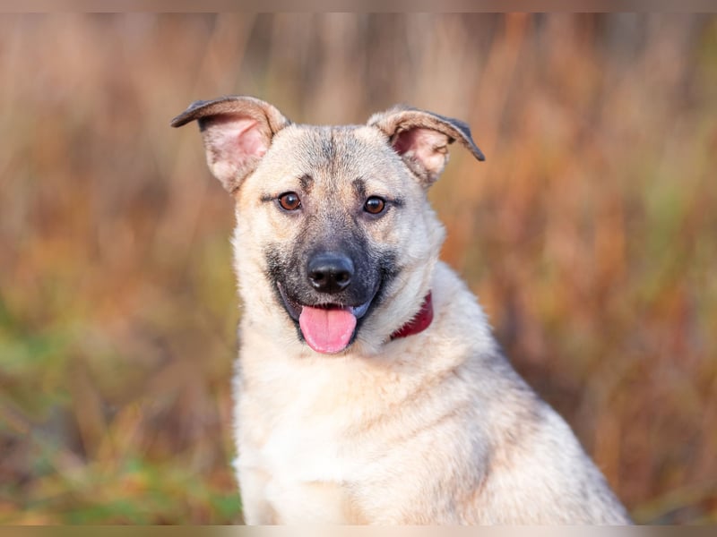 Iriska sucht liebe Menschen