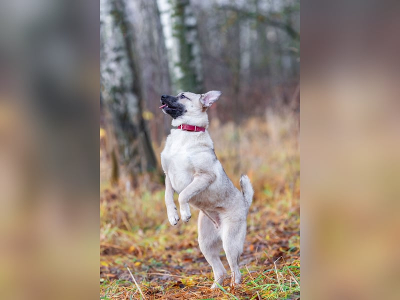 Iriska sucht liebe Menschen