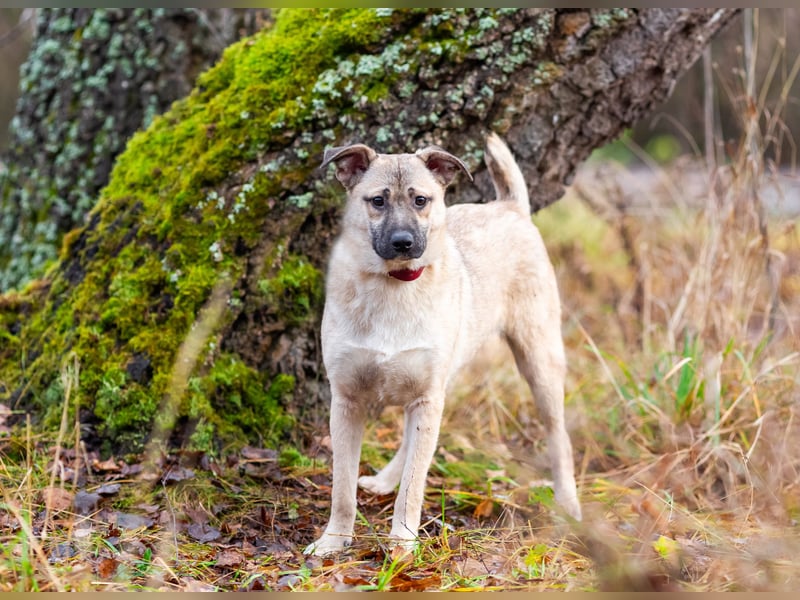Iriska sucht liebe Menschen
