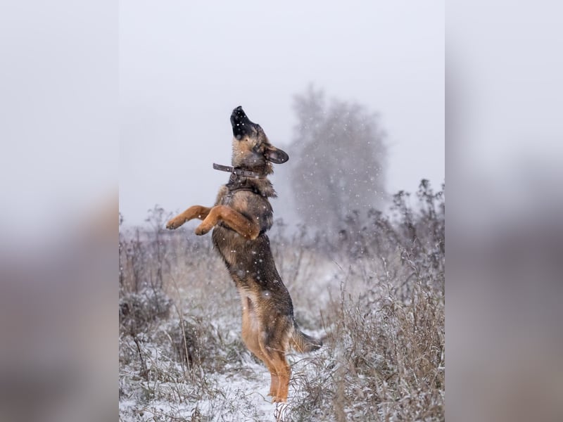 Ein Herz für Vasilisa geben Sie ihr eine Chance auf ein glückliches Leben!