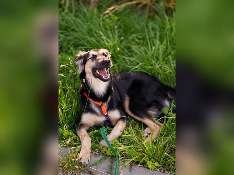 Der mutige Philip sucht seine Menschen