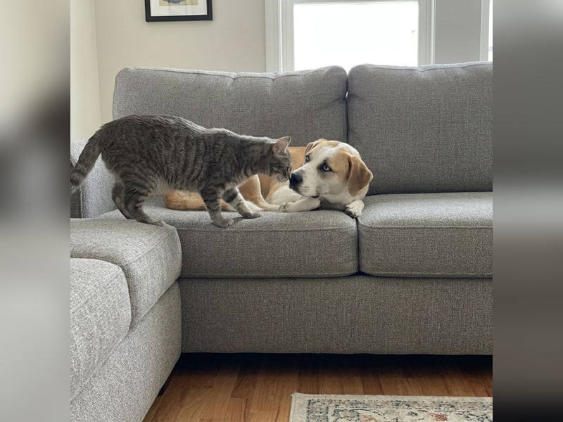 Jessie sucht ein aktives Leben