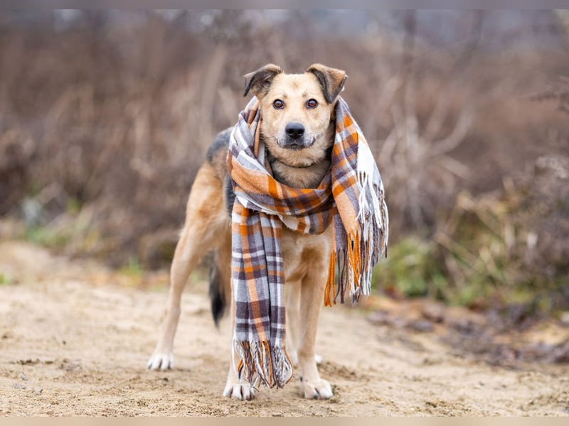 Mit wem kann Nora durch dick und dünn gehen?!