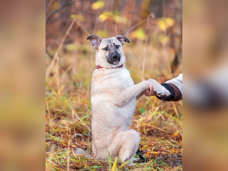 Iriska sucht liebe Menschen