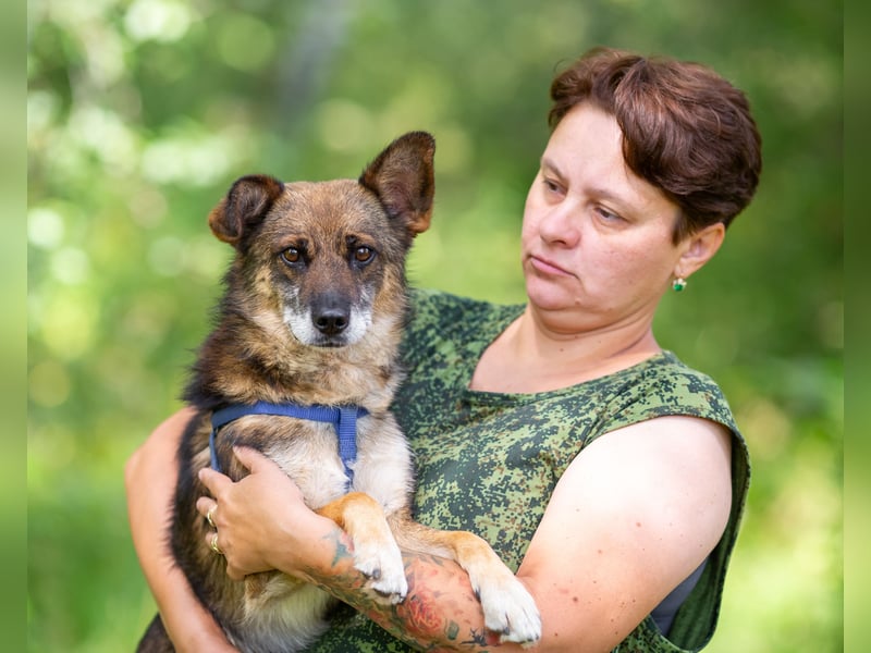 Kleiner Familienhund Patrick sucht ein Zuhause.