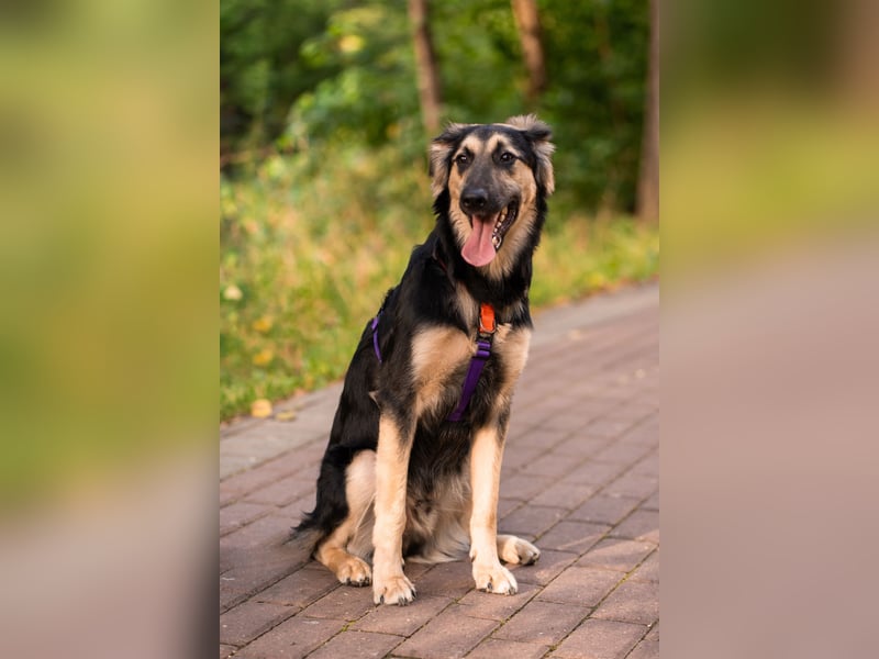 Der mutige Philip sucht seine Menschen