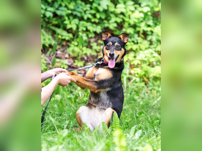 Ruhige Mulya sucht dich ...