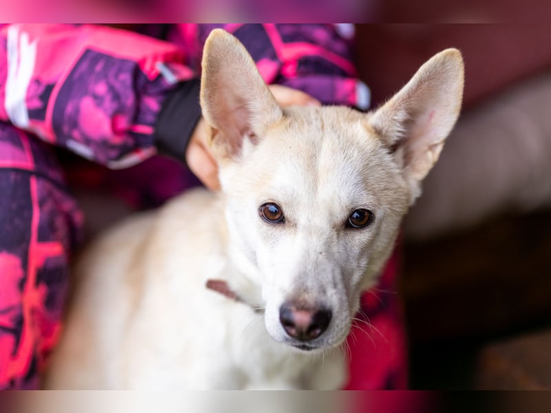 Wer nimmt Mickey in sein Leben..?!