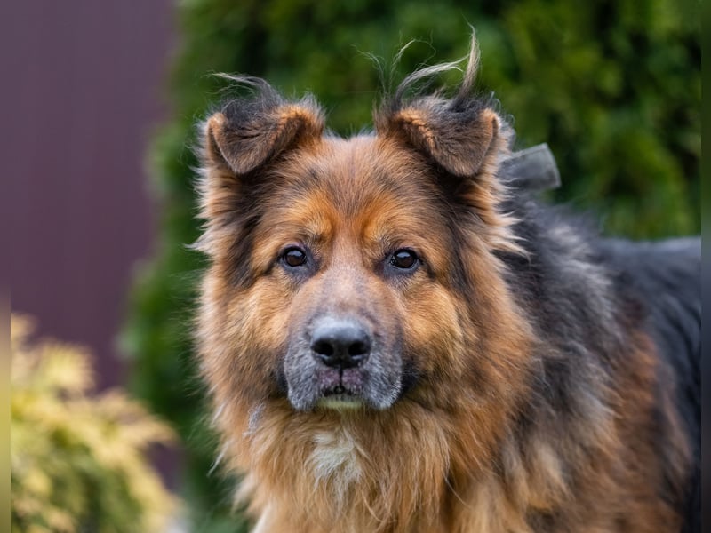 Bekommt Rakhat eine 2.Chance?!