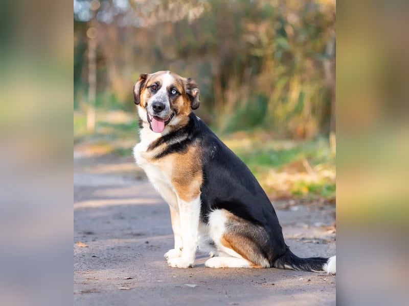 Tyson will nochmal seine ganze Liebe zeigen