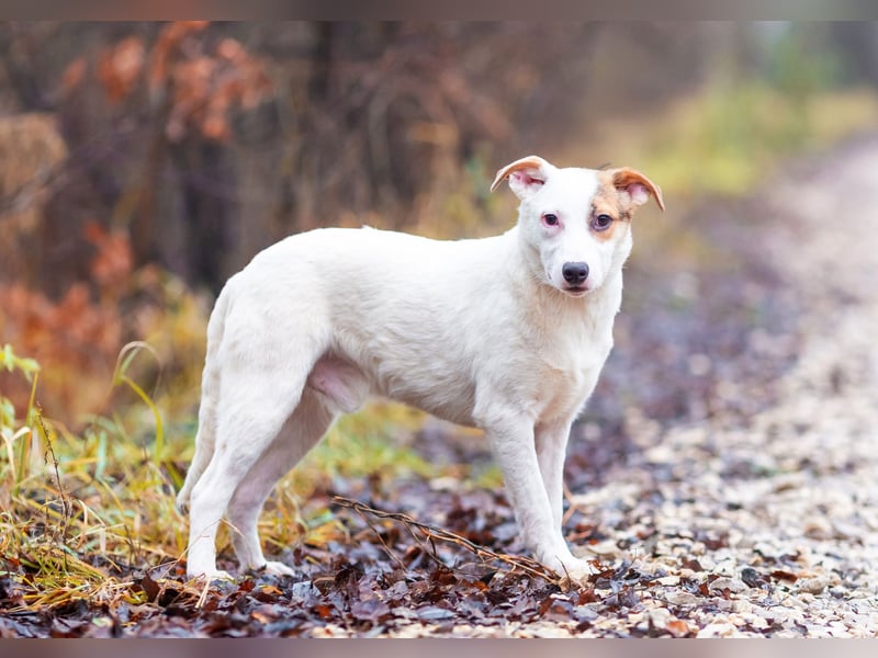 Aufgeschlossener Lord sucht aufgeschlossene Menschen