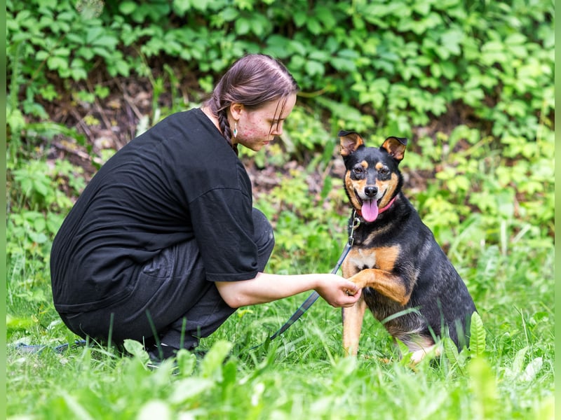 Ruhige Mulya sucht dich ...