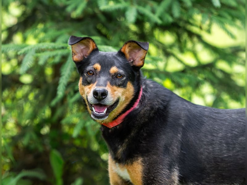 Ruhige Mulya sucht dich ...