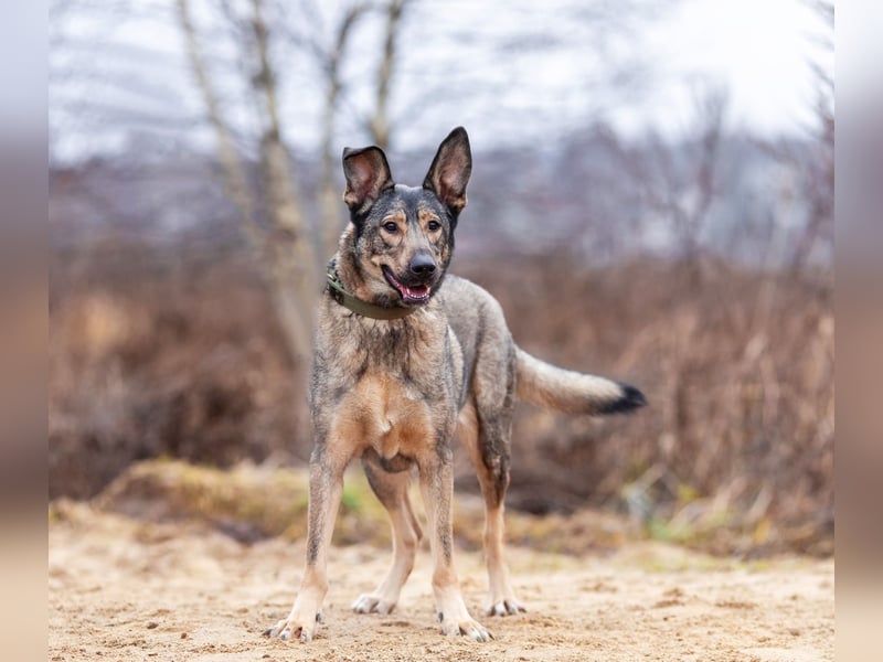 Laura wünscht sich eine aktive Familie
