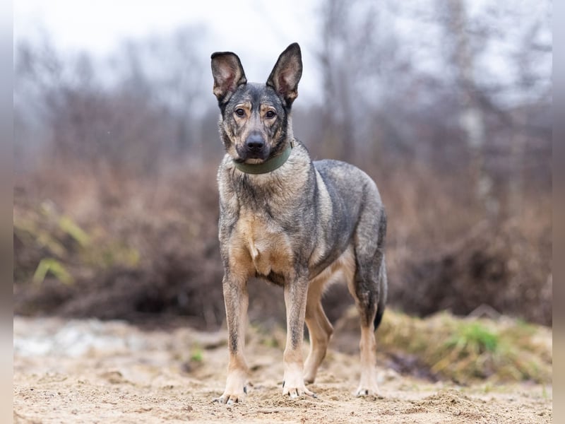 Laura wünscht sich eine aktive Familie