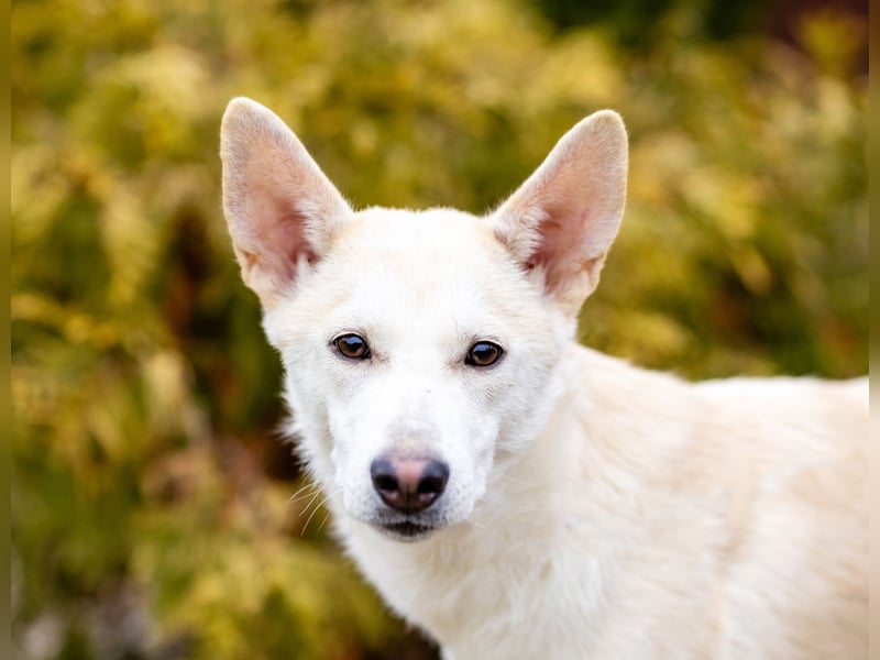 Wer nimmt Mickey in sein Leben..?!