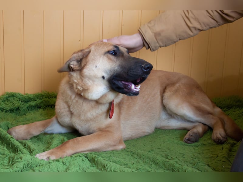Junge hübsche Leia sucht Familie