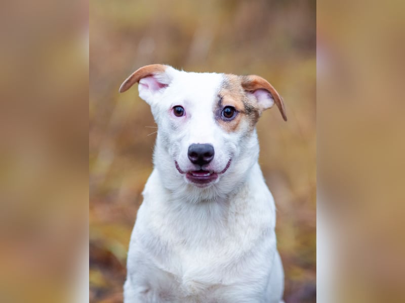 Aufgeschlossener Lord sucht aufgeschlossene Menschen