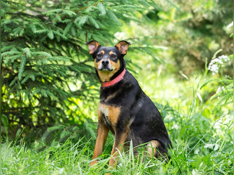 Ruhige Mulya sucht dich ...