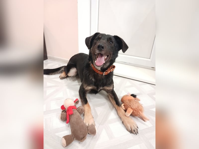 Junger lieber Roni sucht ....