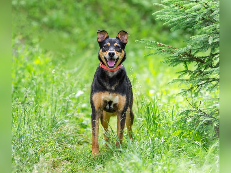 Ruhige Mulya sucht dich ...