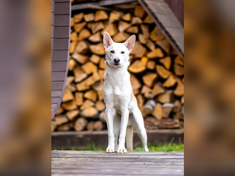 Wer nimmt Mickey in sein Leben..?!