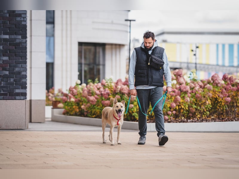 Skye treue seele sucht ....