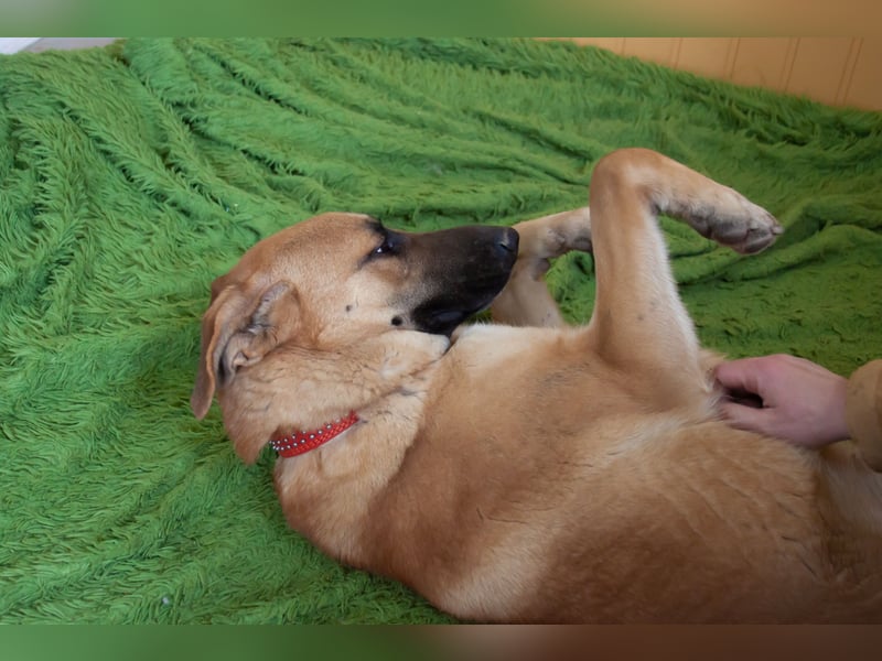 Junge hübsche Leia sucht Familie