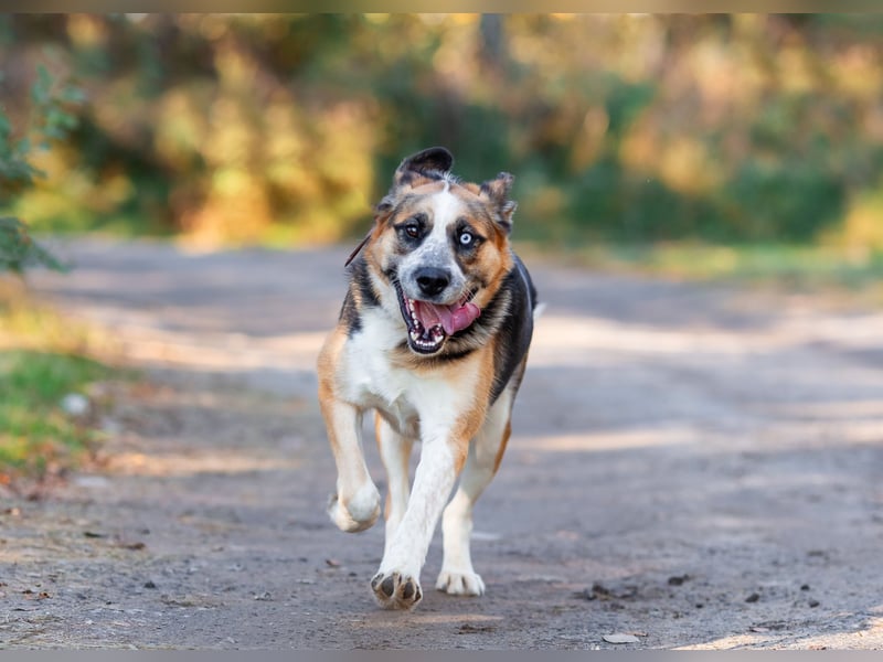 Tyson will nochmal seine ganze Liebe zeigen